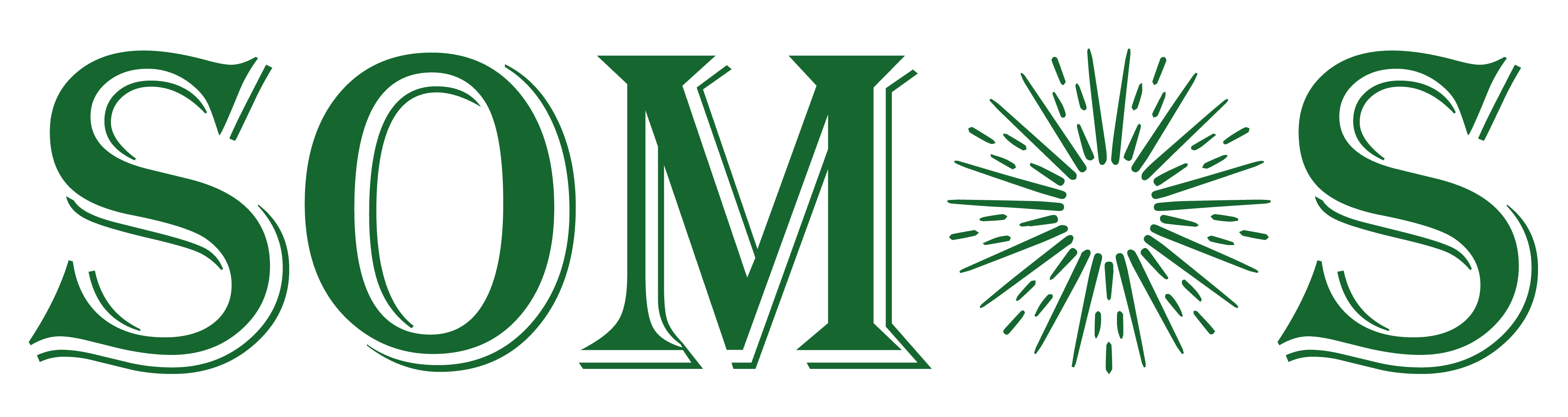 Logo de Somos Energía Solar